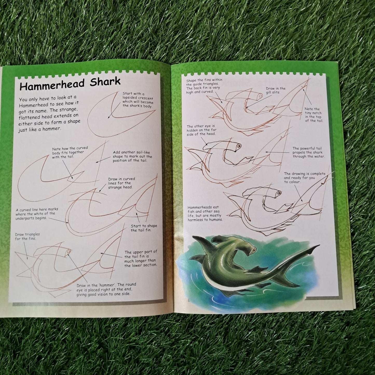 I Can Draw Shark, Whales& Dolphins