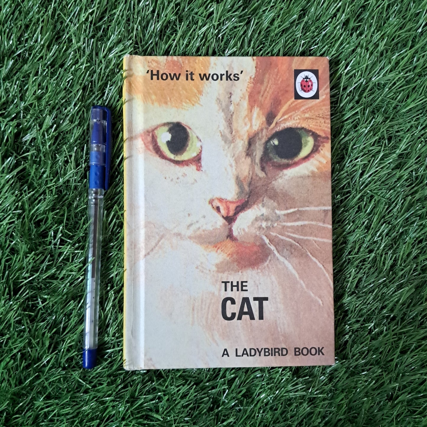 THE CAT