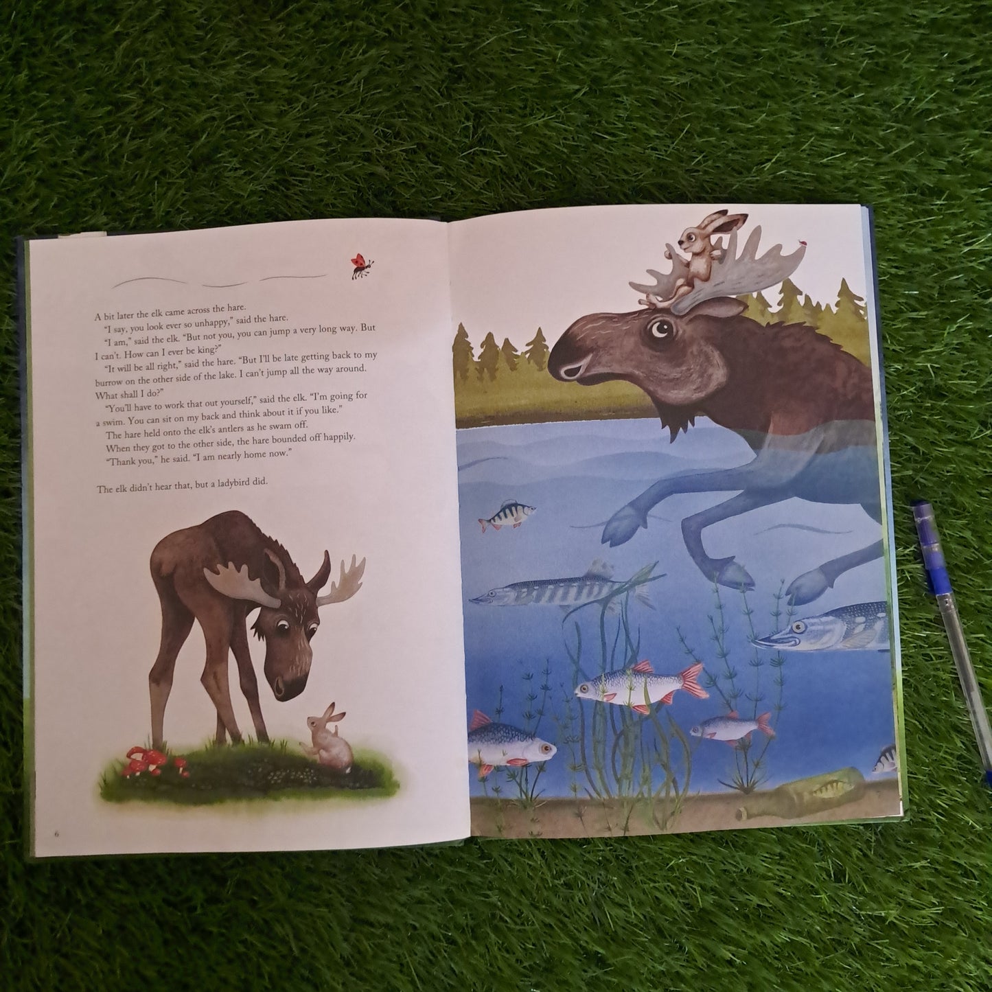 King Elk