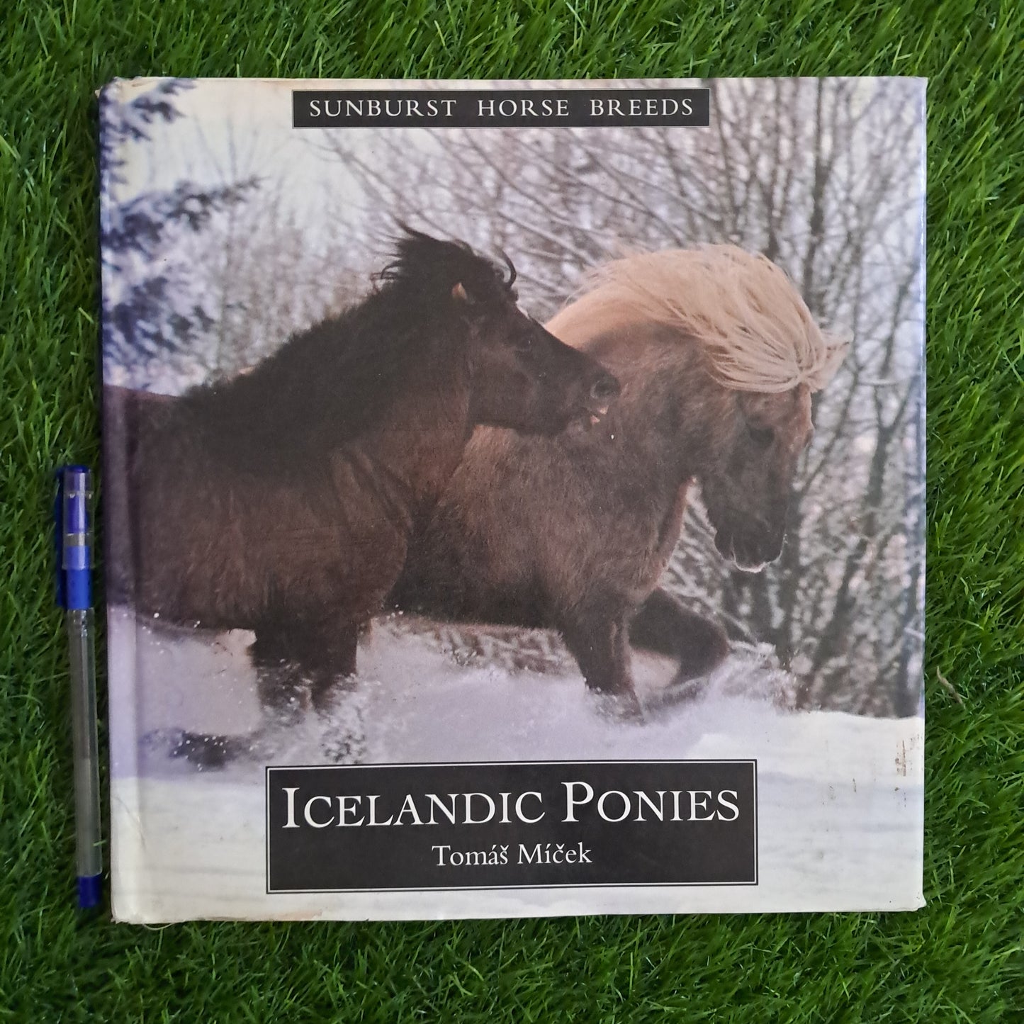 ICELANDIC PONIES