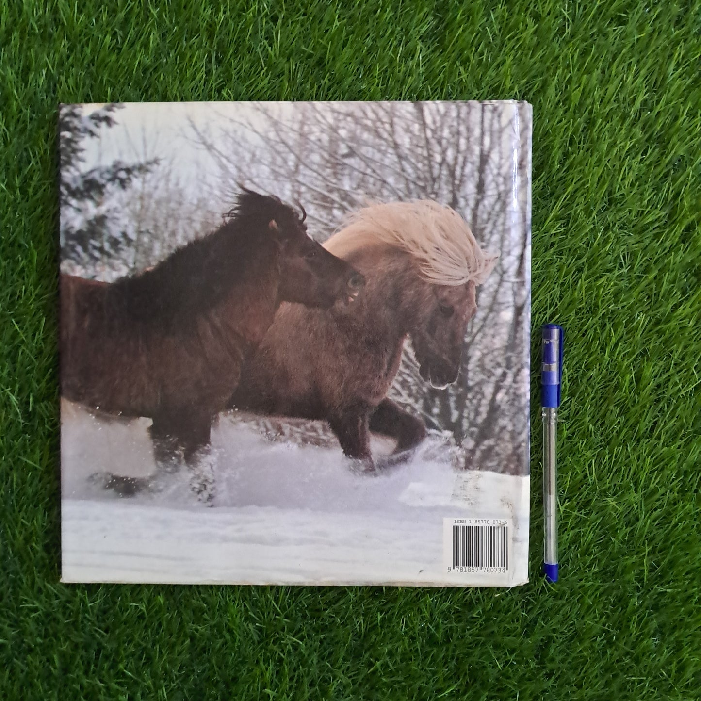 ICELANDIC PONIES