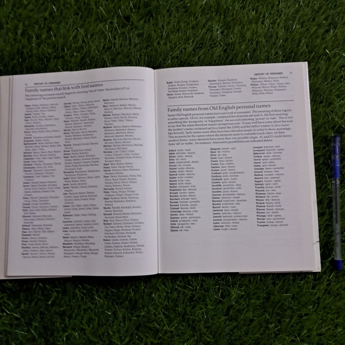 THE GUINNESS BOOK OF NAMES