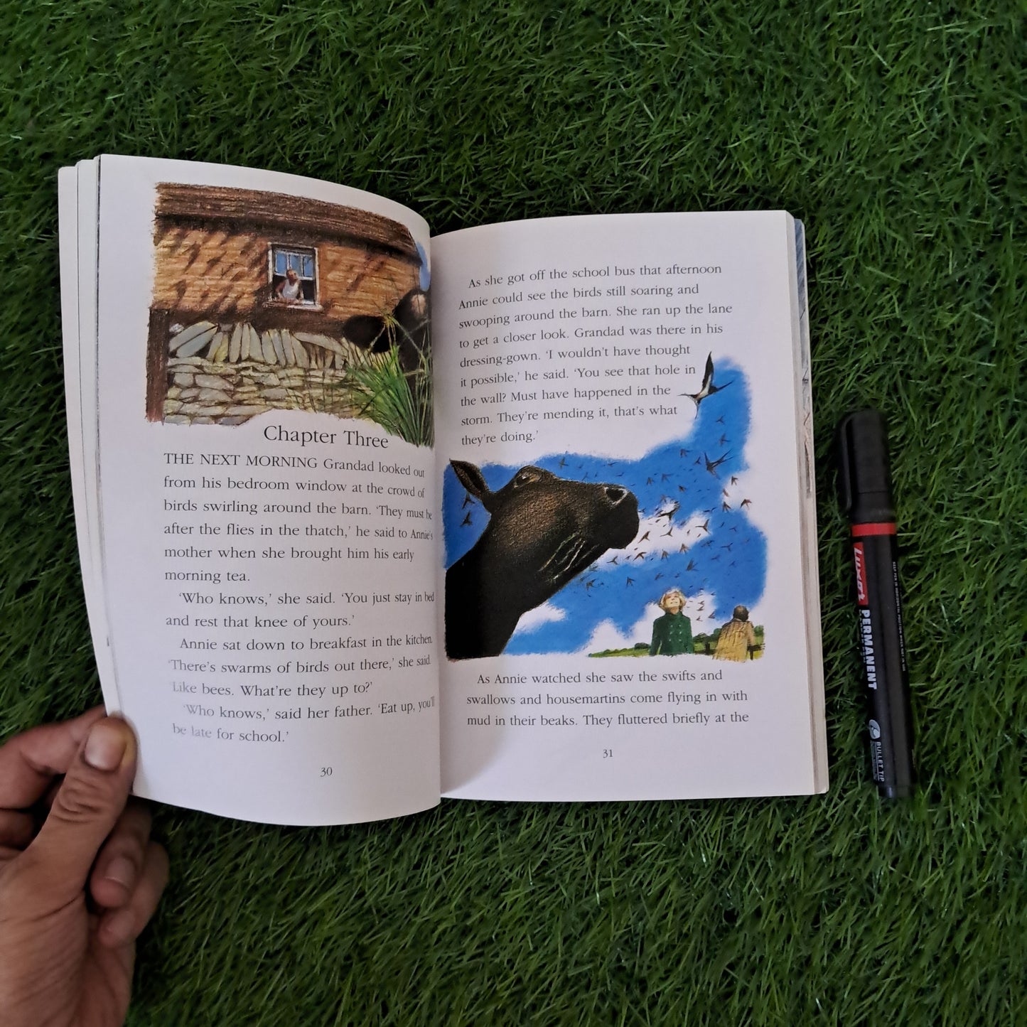 Animal Tales