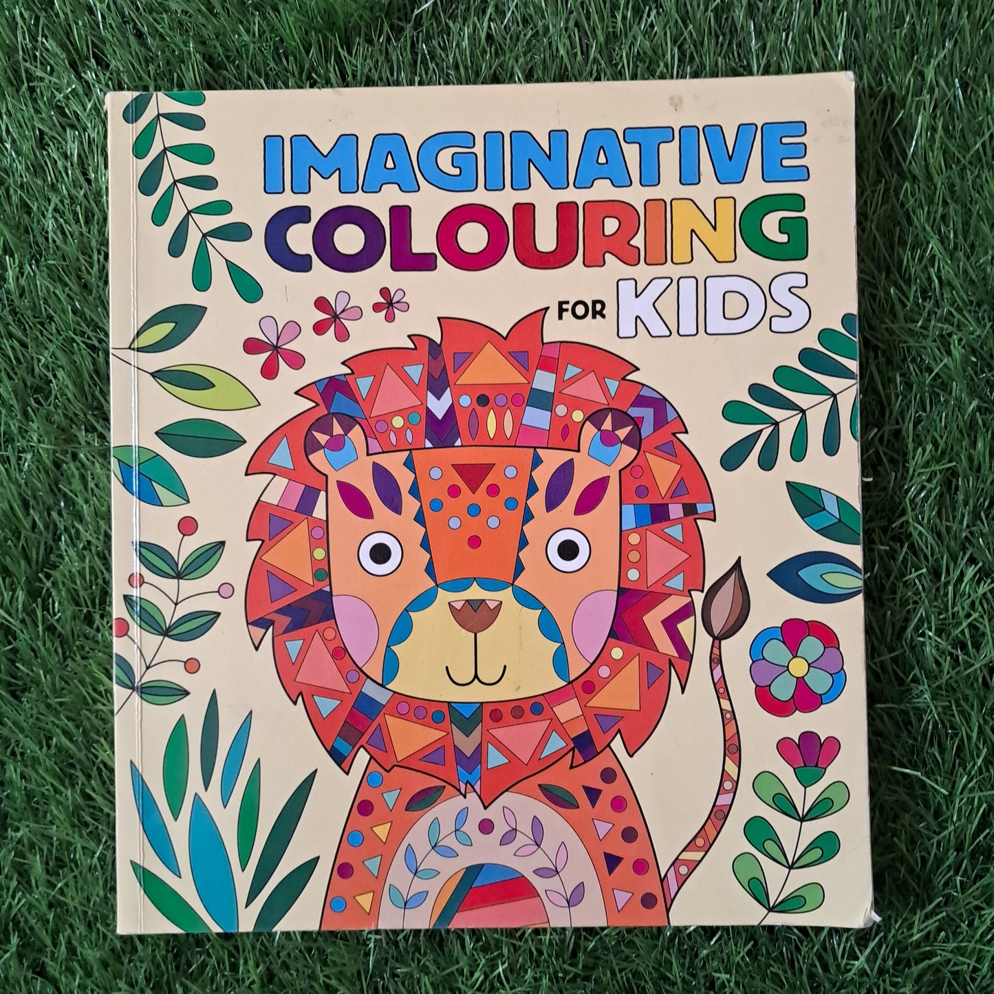 IMAGINATIVE COLOURING for kid