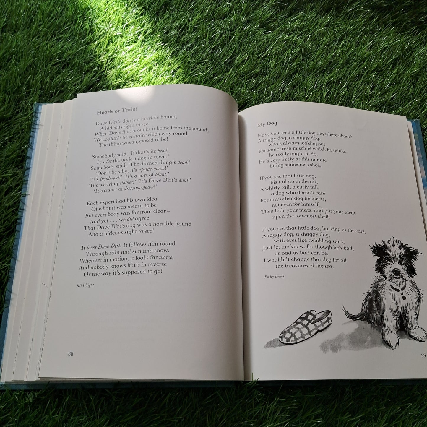 THE Oxford Treasury of Children's Poems