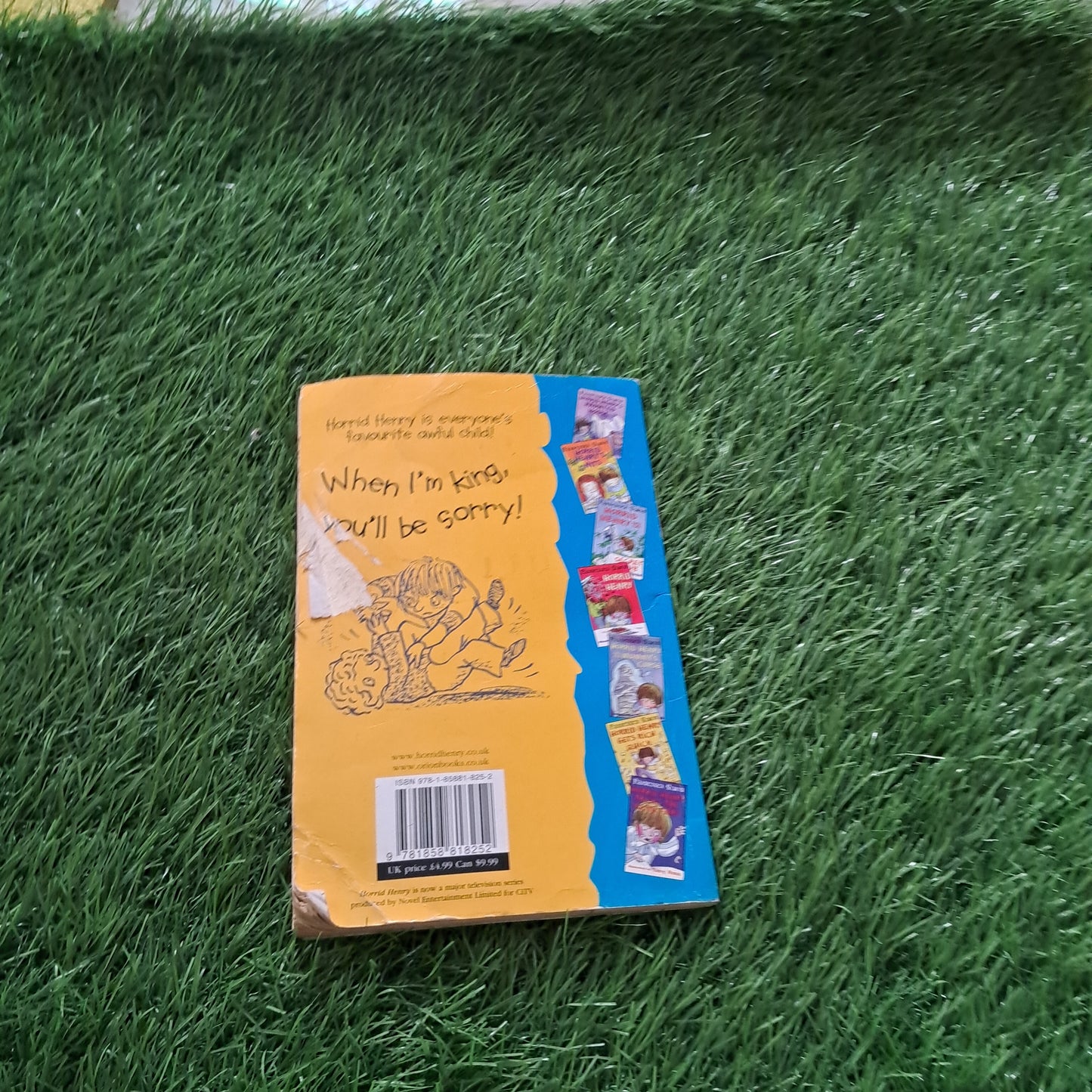 HORRID HENRY'S REVENGE