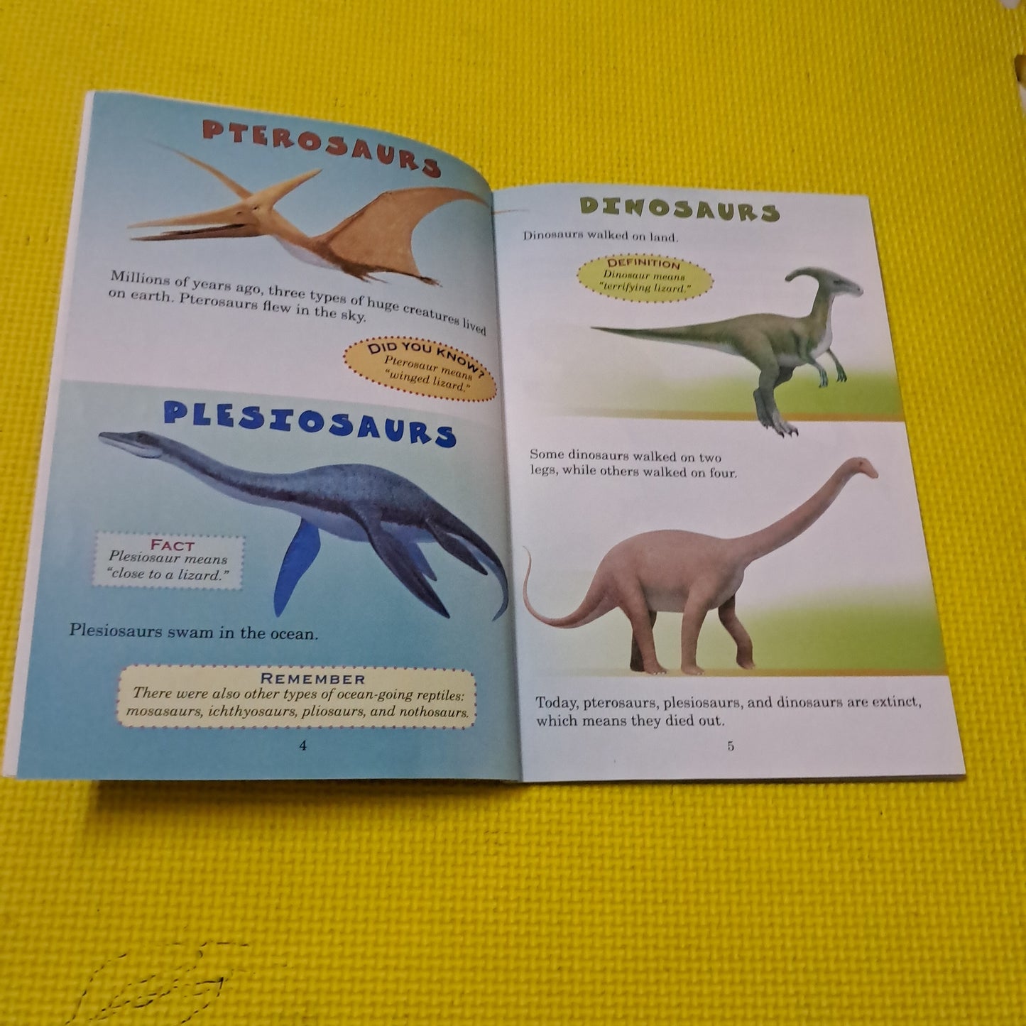 WHO WOULD WIN TYRANNOSAURUSREX VS. VELOCIRAPTOR