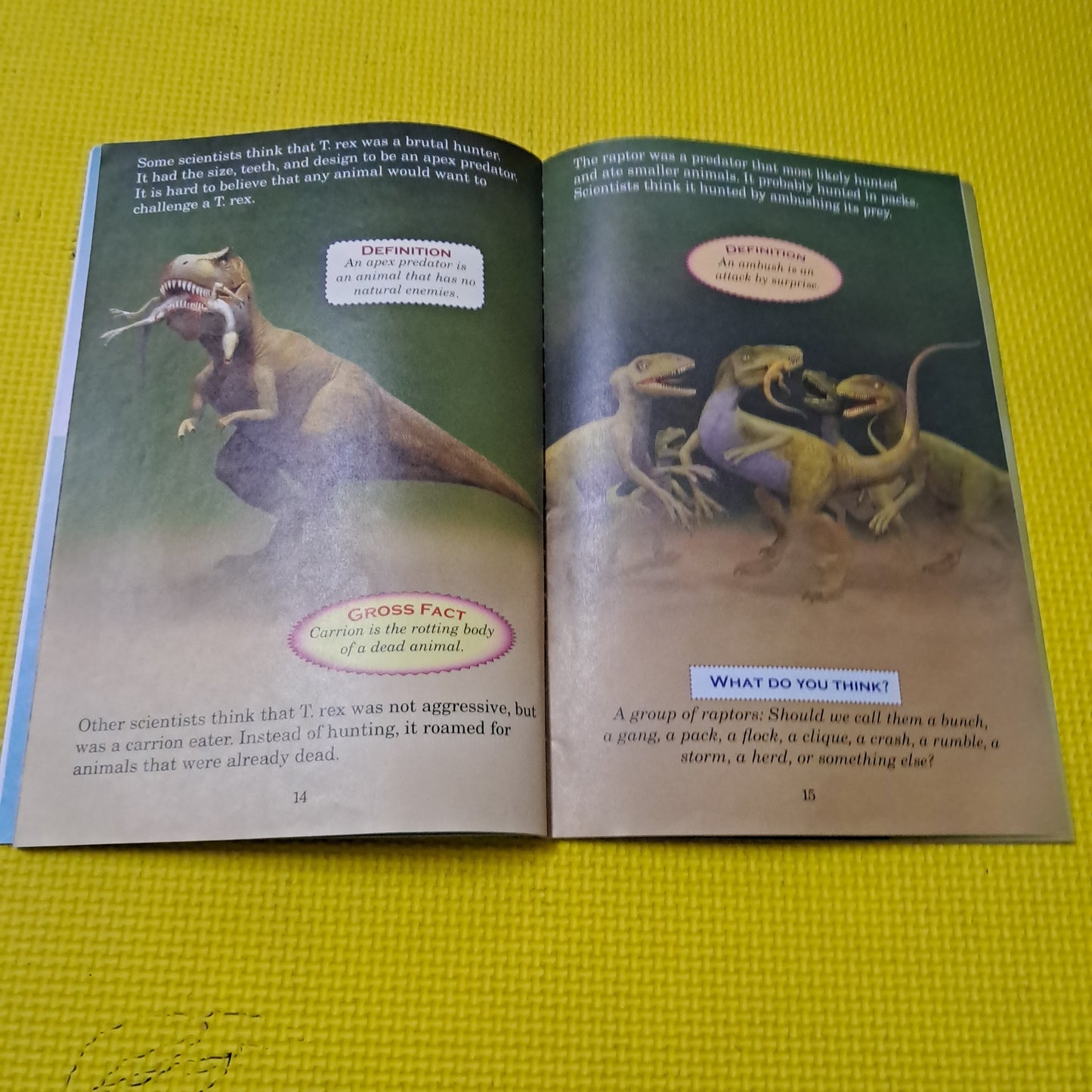 WHO WOULD WIN TYRANNOSAURUSREX VS. VELOCIRAPTOR