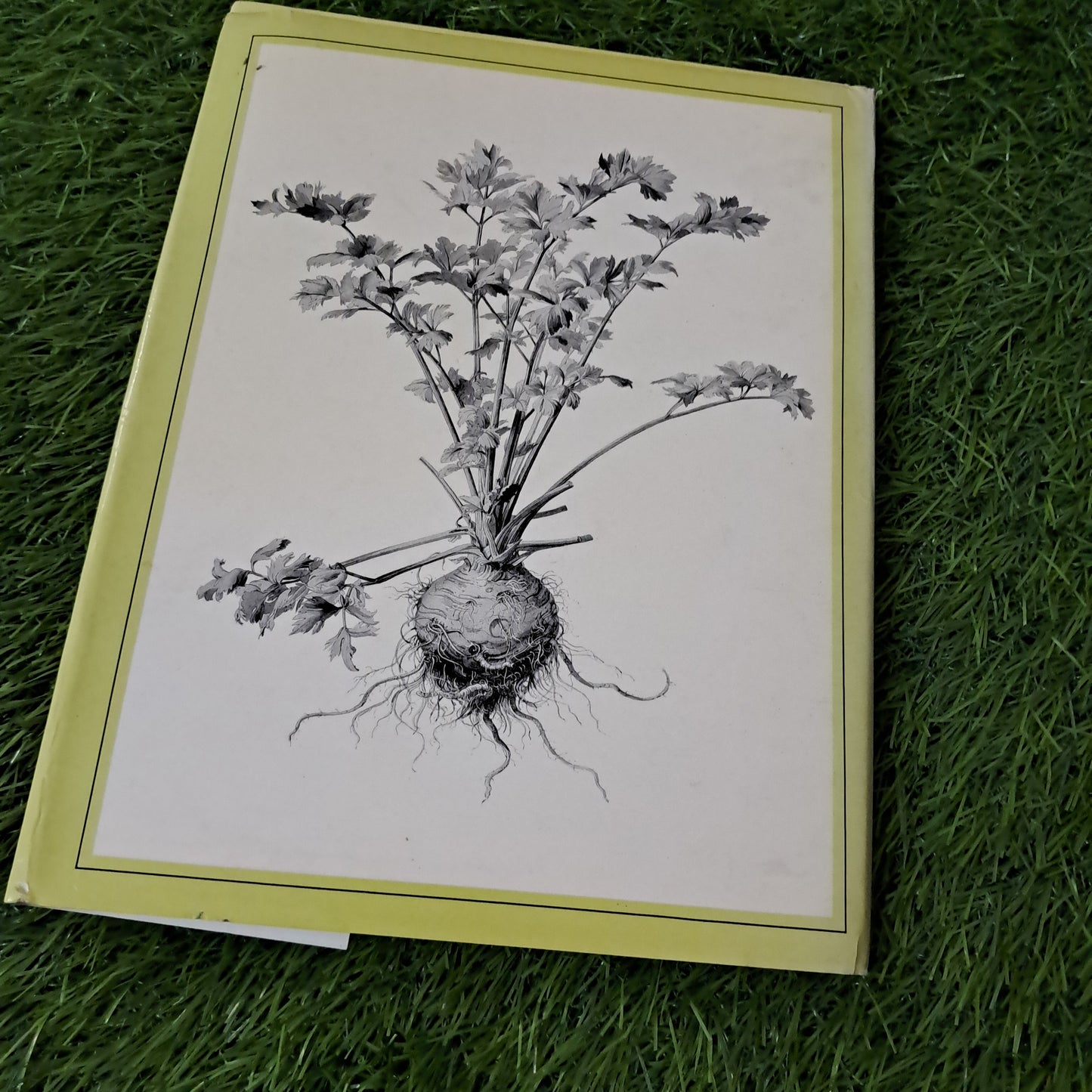 THE FRUITS OF THE EARTH