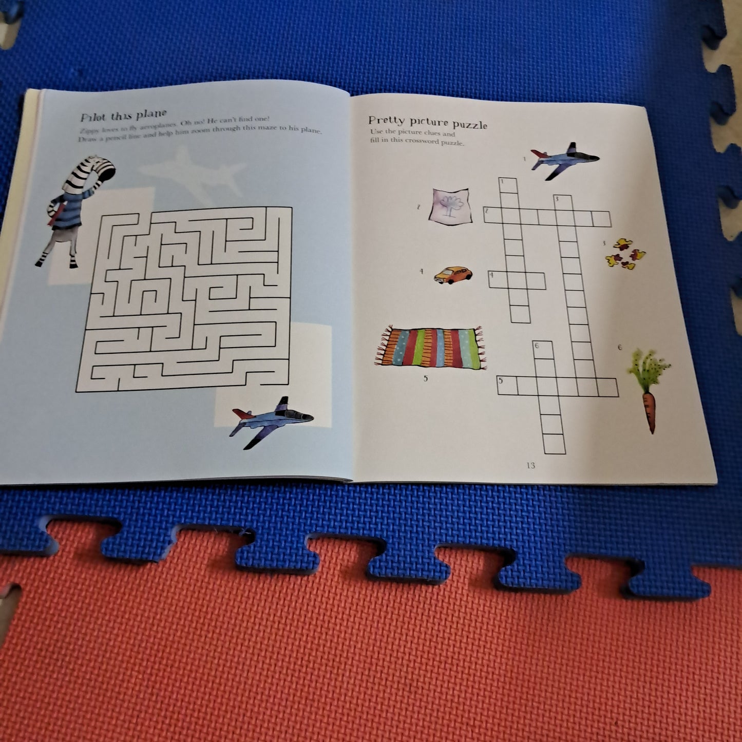 The ZIPPY MESSES UP ! Activity Book