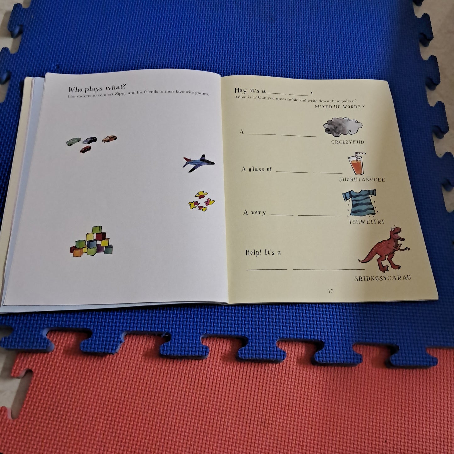 The ZIPPY MESSES UP ! Activity Book