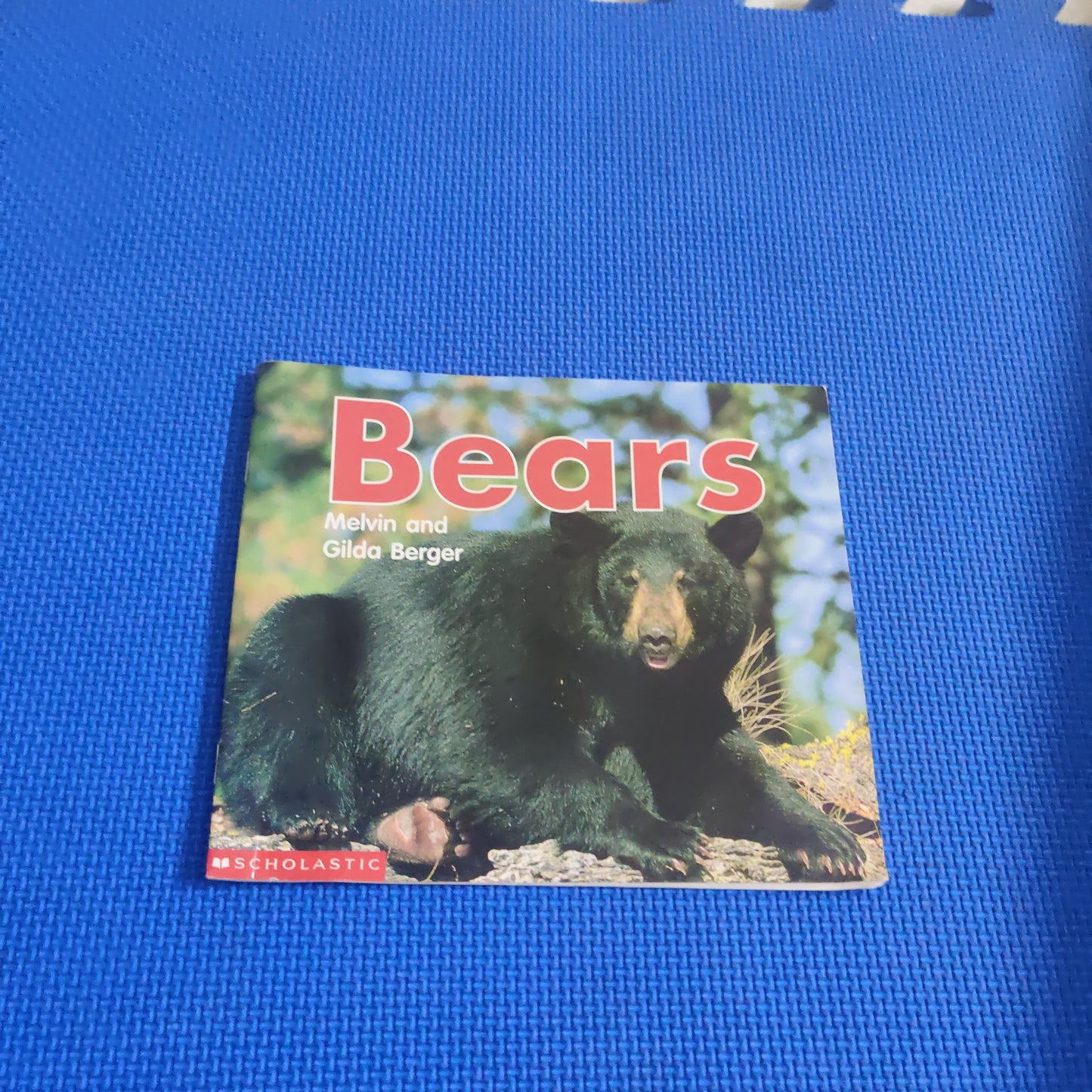 BEARS