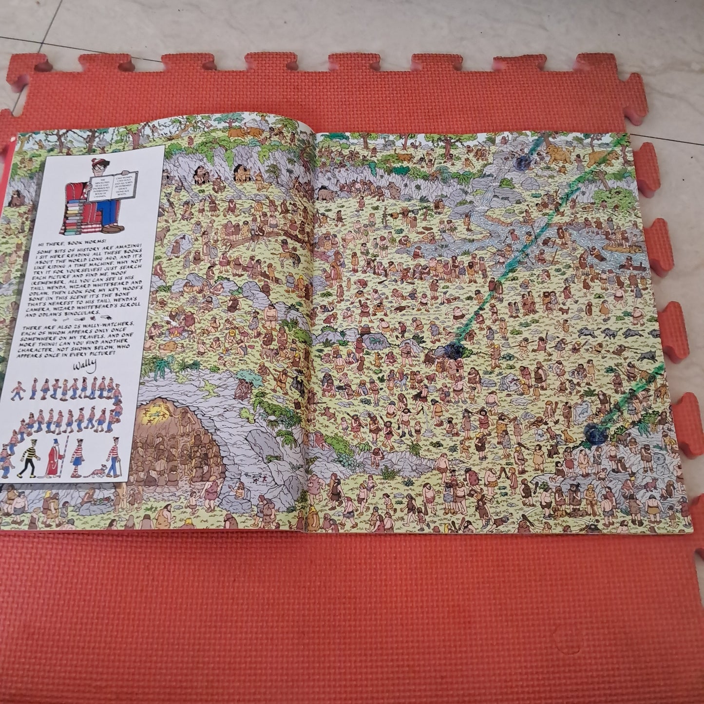 WHERE'S Wally NOW?