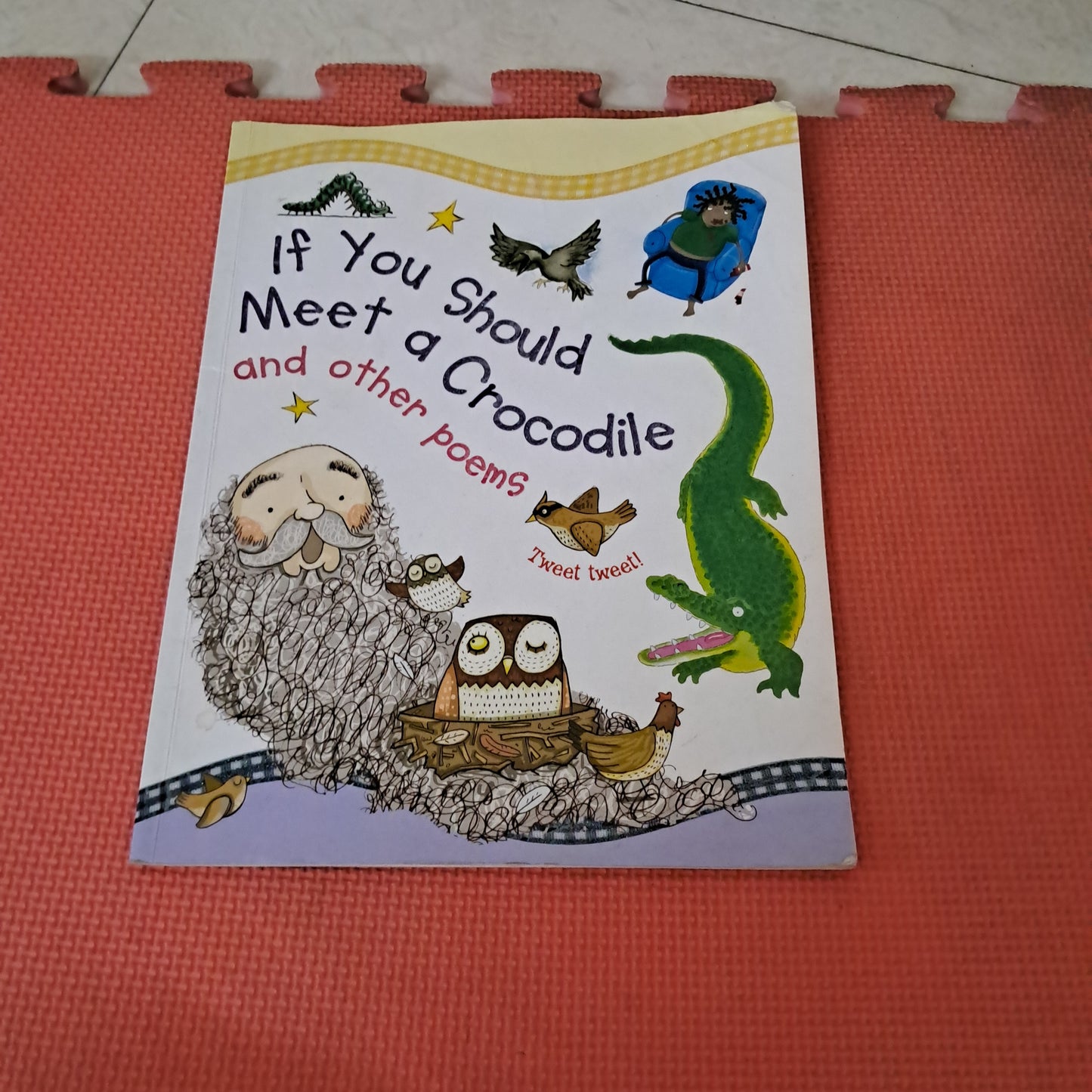 IF you Should Meet a Crocodile and other Poems