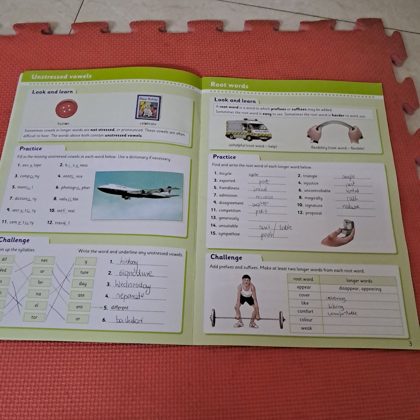 ENGLISH BASICS dip+ lo+do+cus