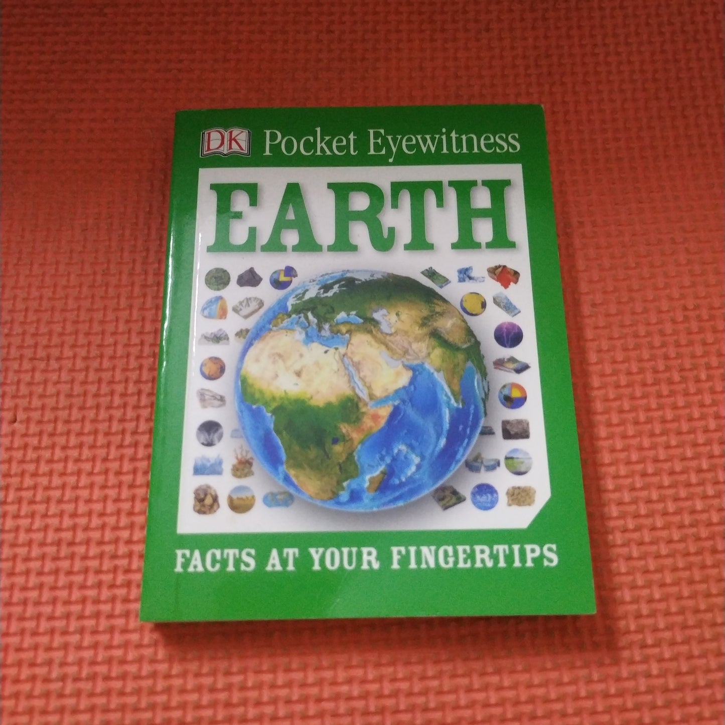 Pocket Eyewitness  EARTH