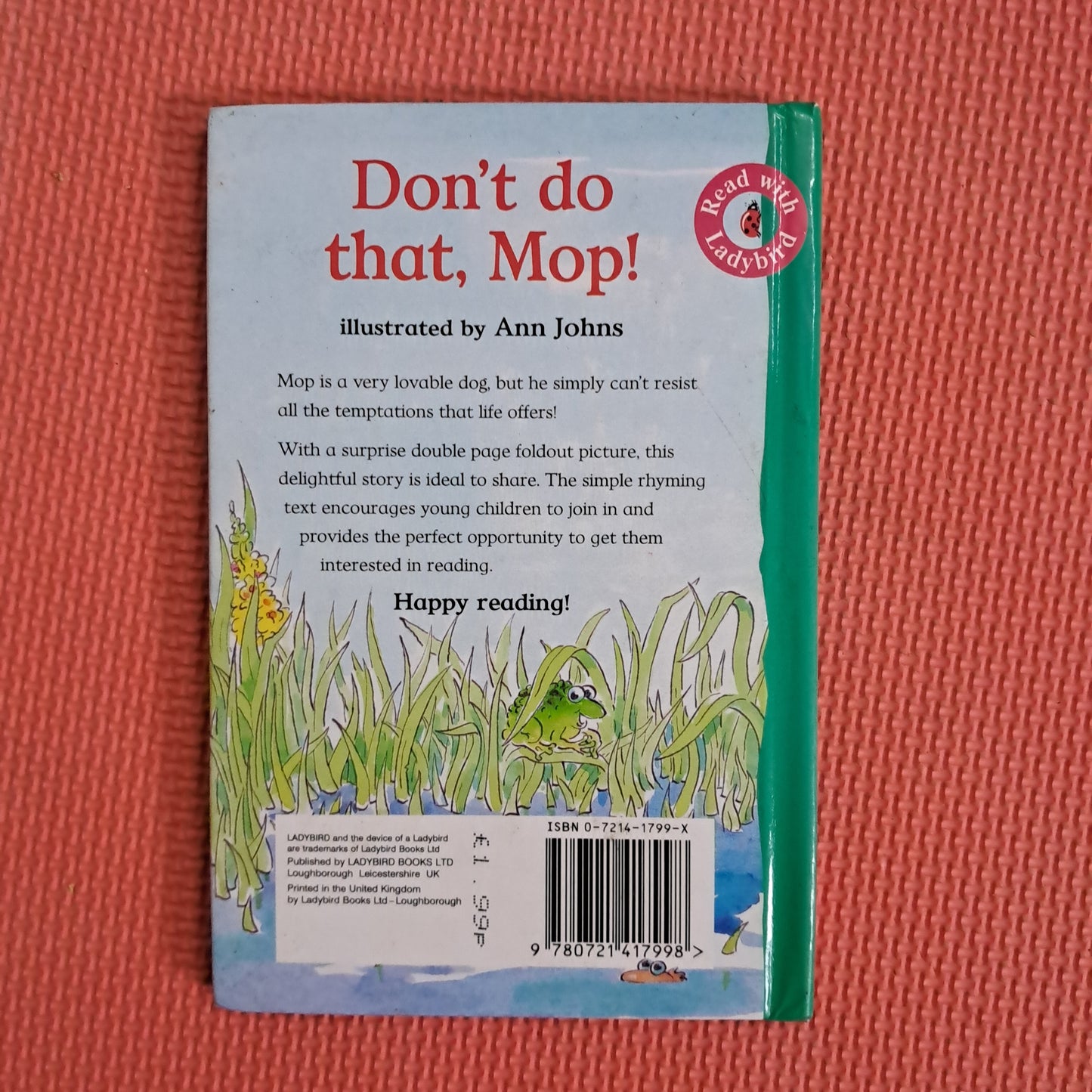 Don't do that , Mop !