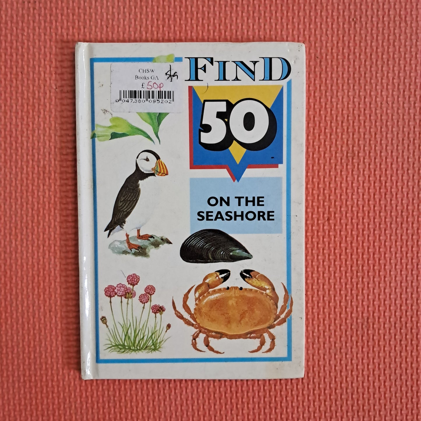 Find 50 On The Seashore