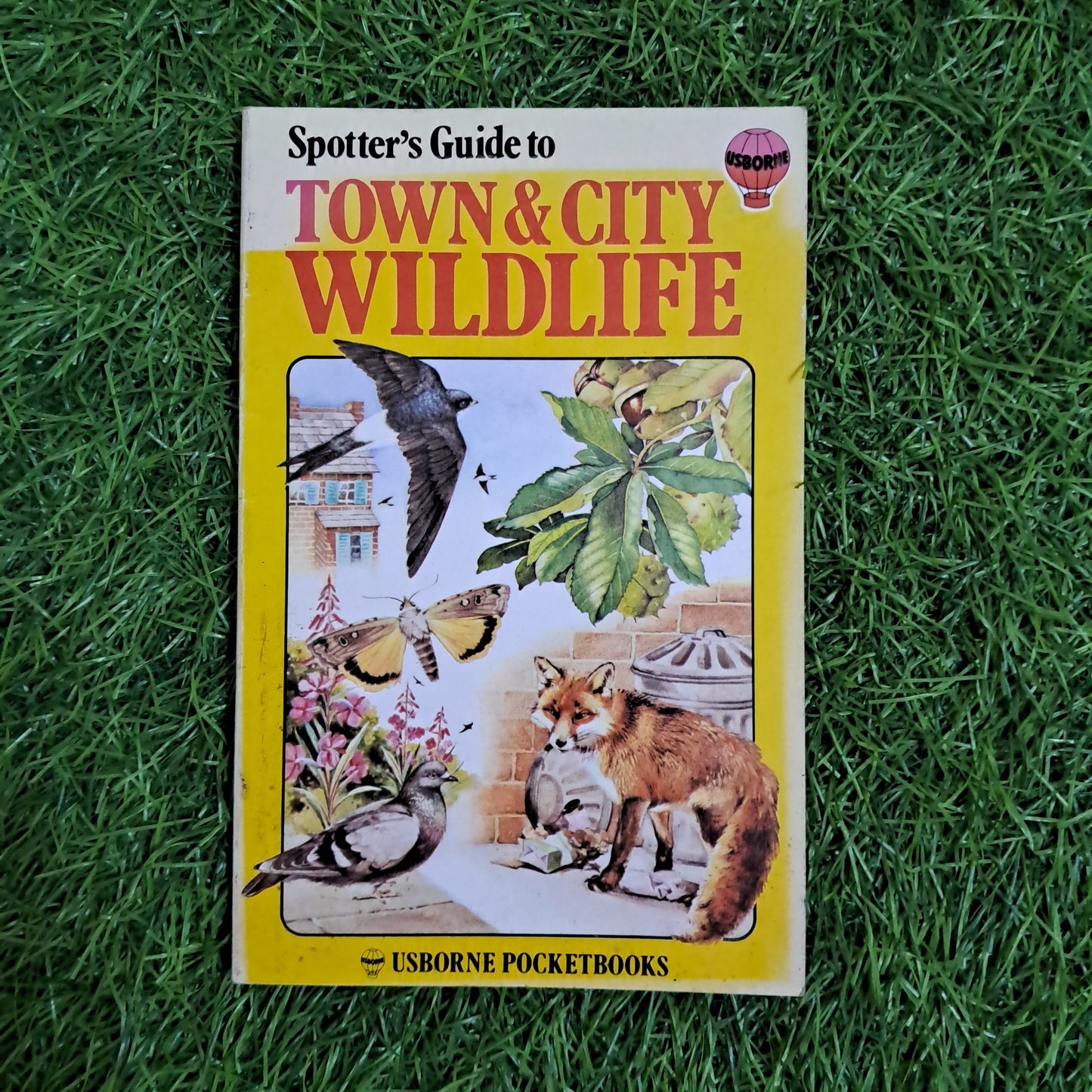 TOWN & CITY WILDLIFE
