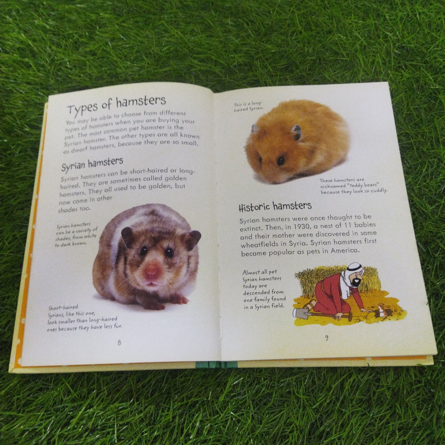 Usborne pet guides looking after Hamsters