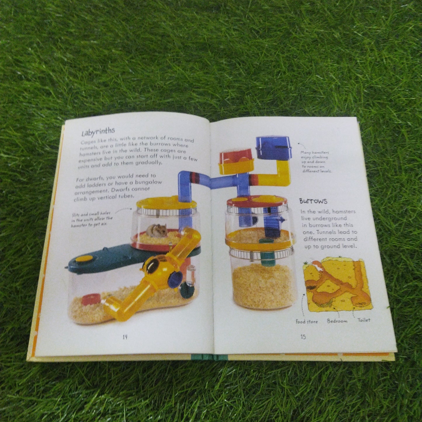 Usborne pet guides looking after Hamsters
