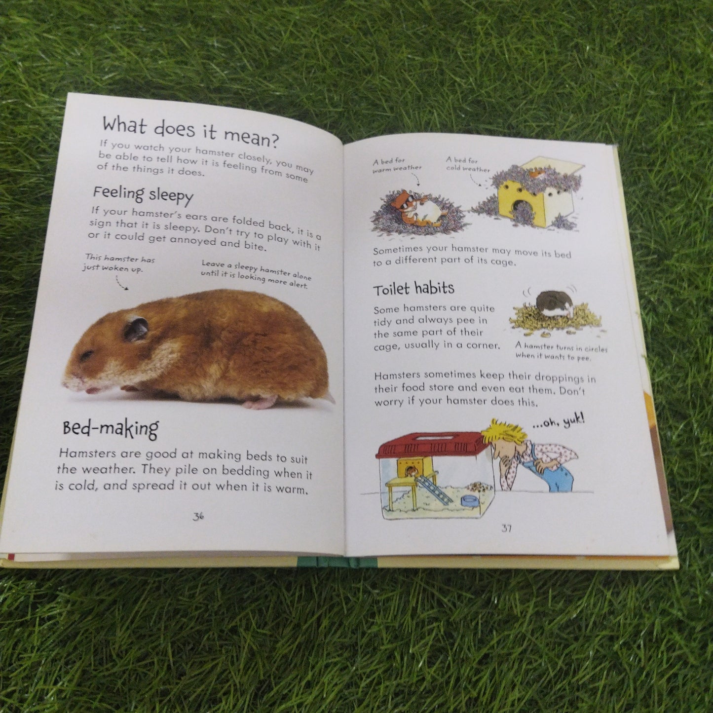 Usborne pet guides looking after Hamsters