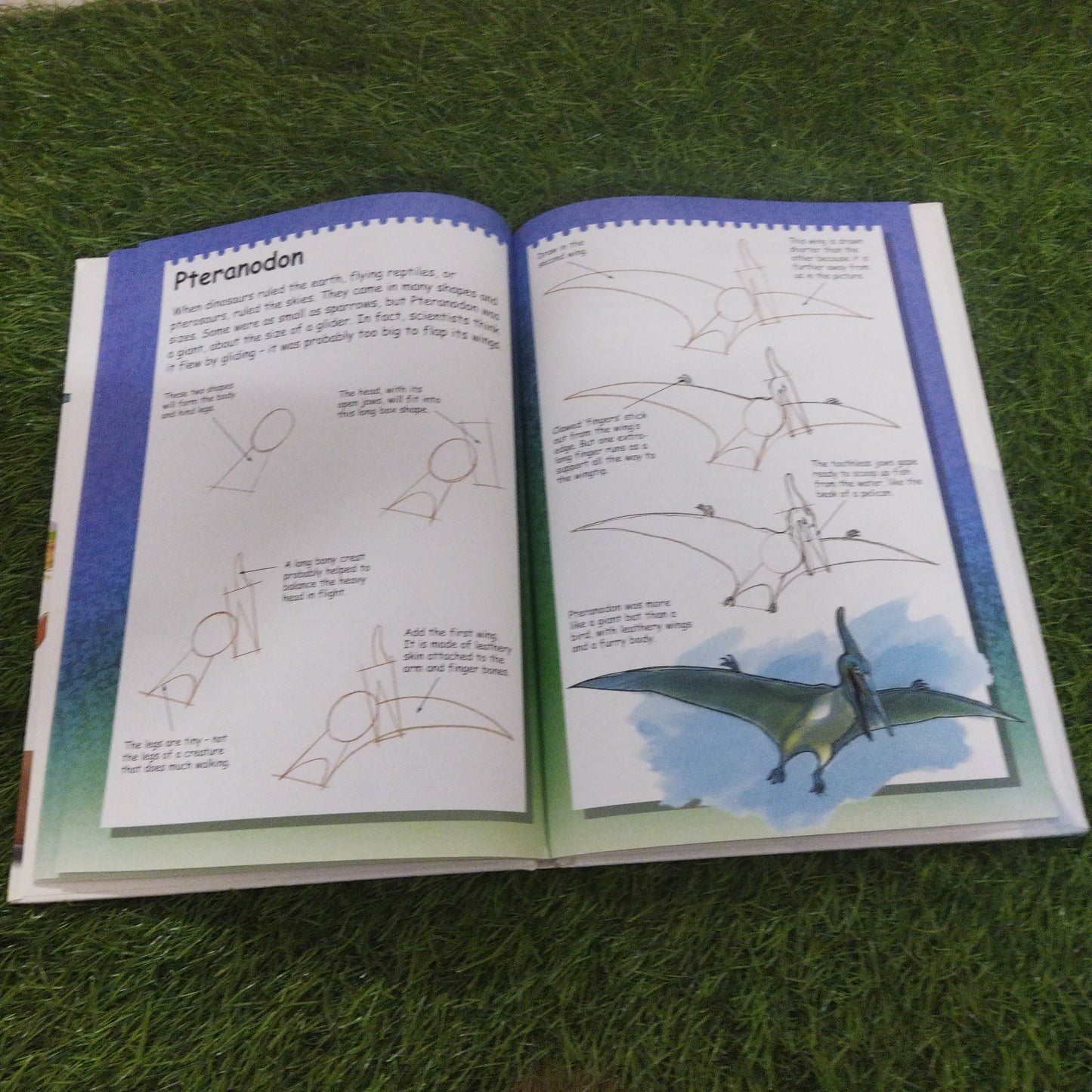 I Can Draw Dinosaurs