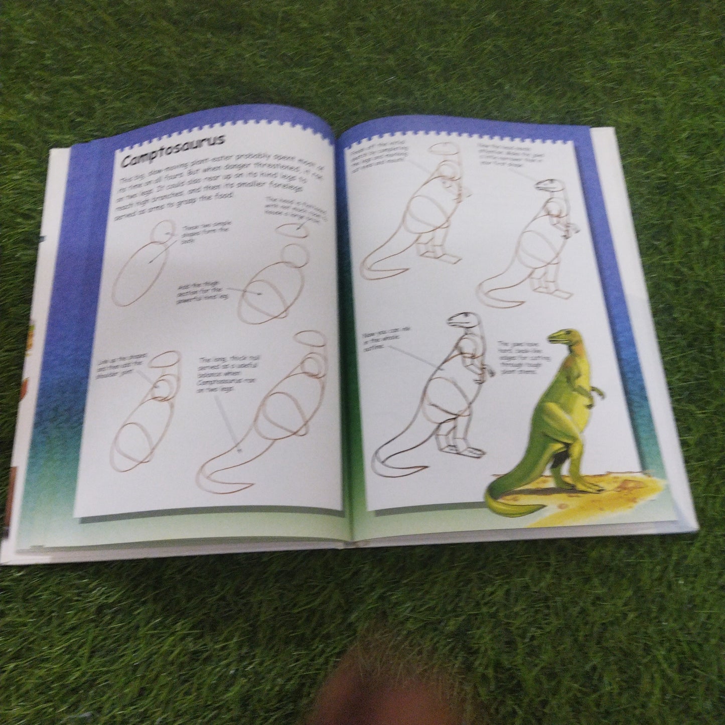 I Can Draw Dinosaurs