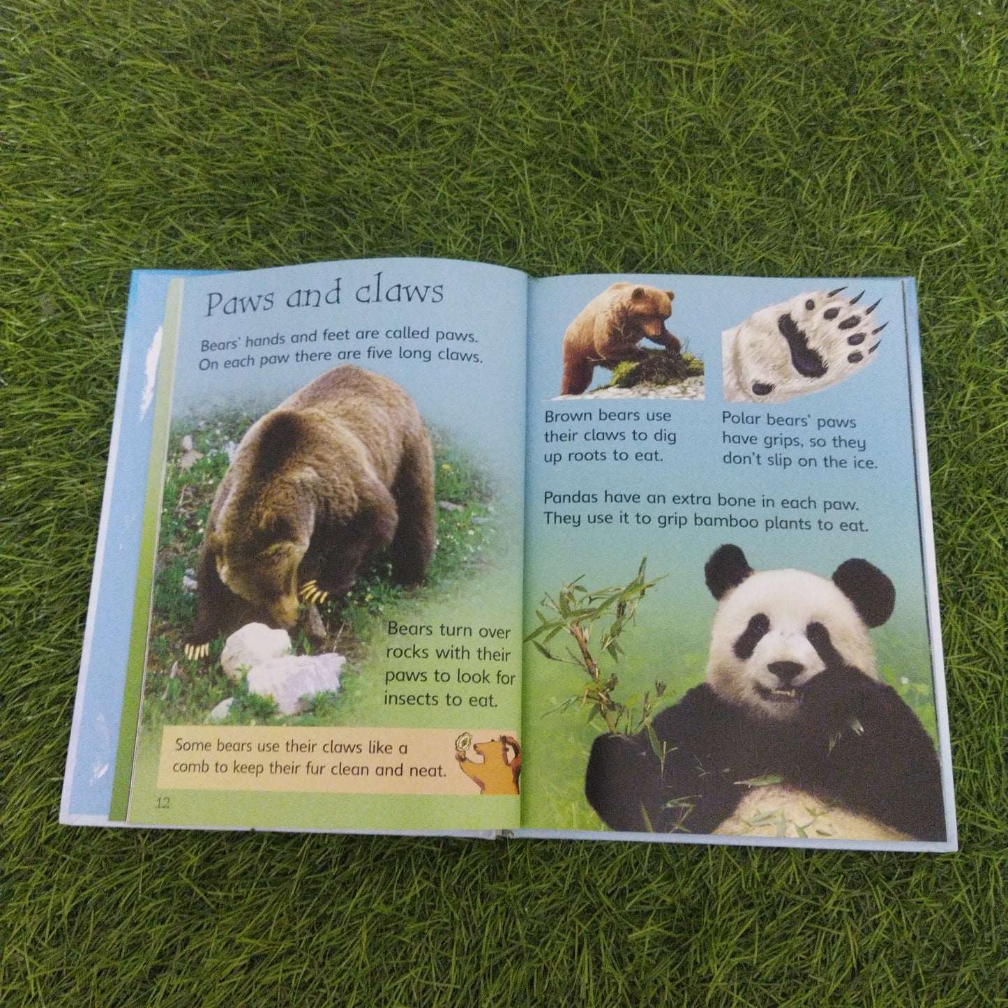 UsBorne Beginners Bears