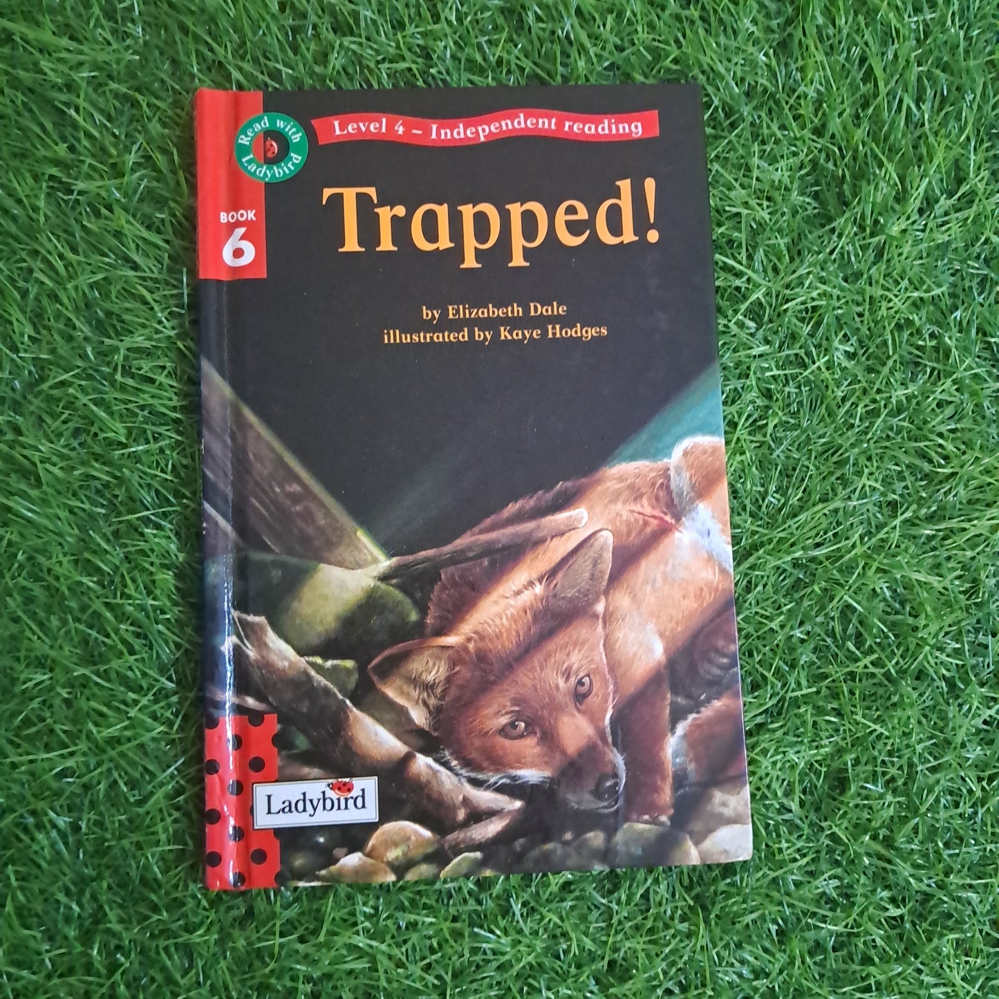 Trapped !