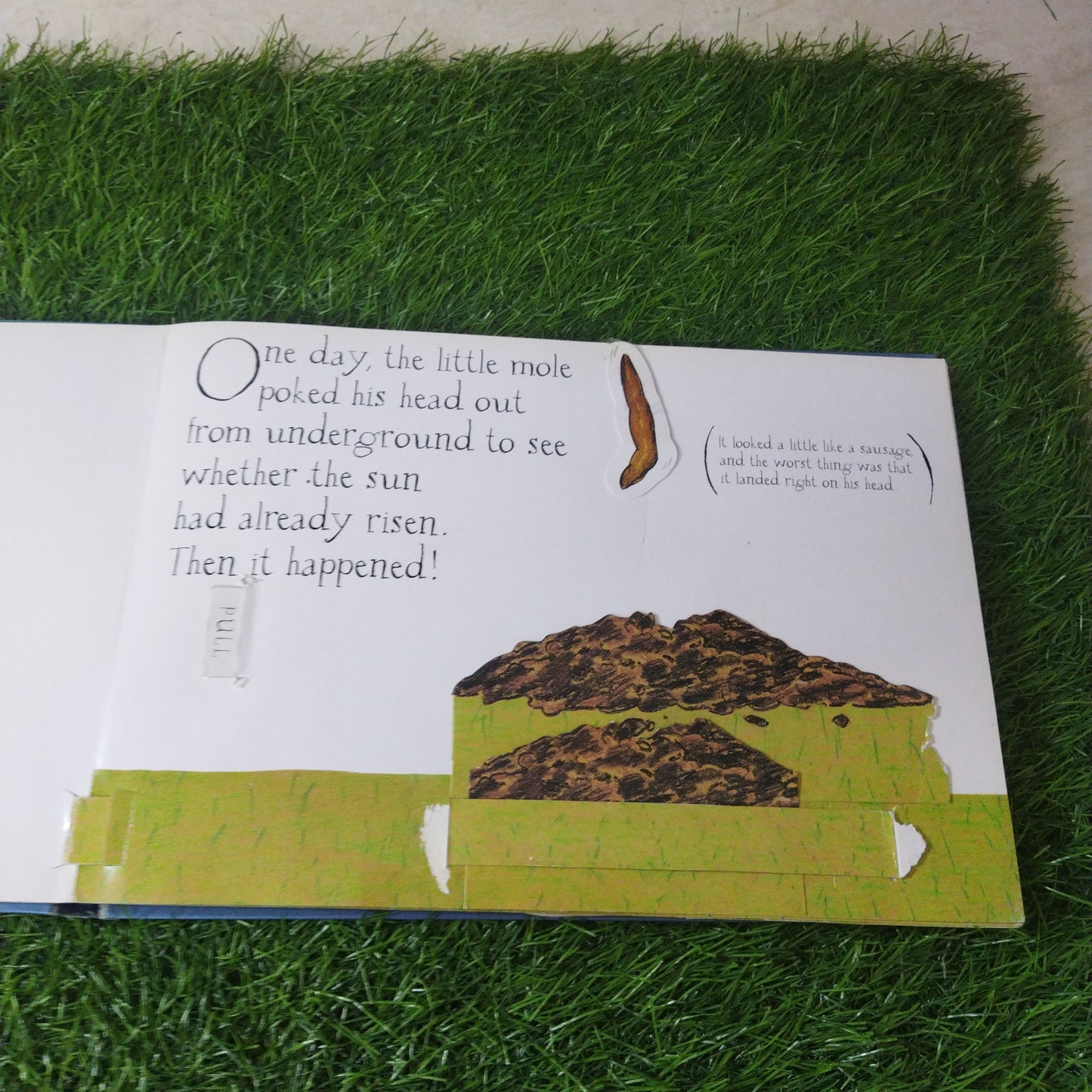 The Story of the Little Mole who new it was none of his business pop-up edition!