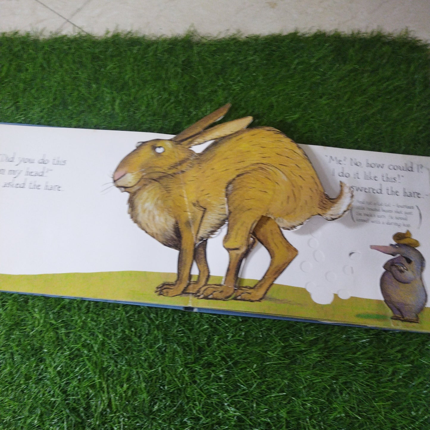 The Story of the Little Mole who new it was none of his business pop-up edition!