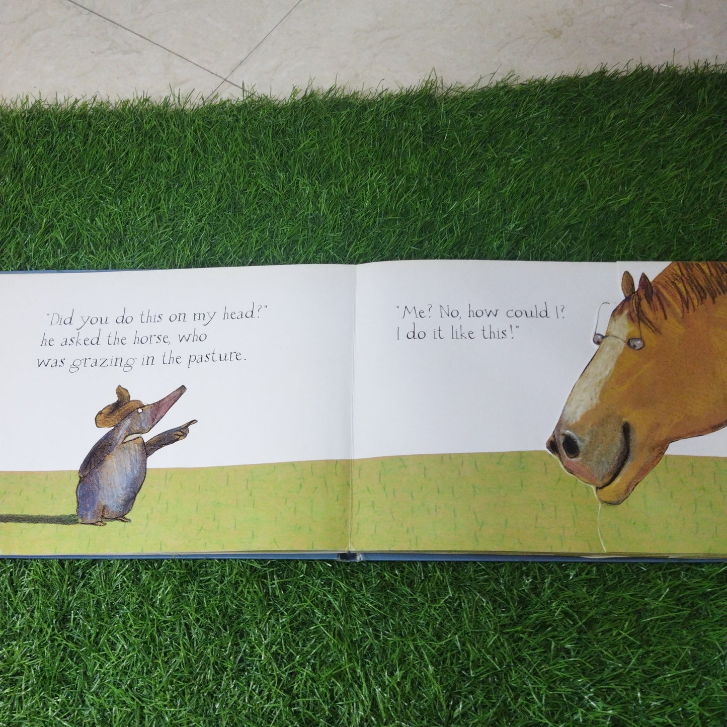 The Story of the Little Mole who new it was none of his business pop-up edition!