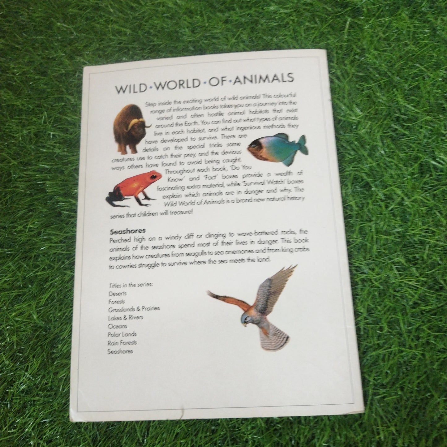 Wild .World. Of. Animals Seashores