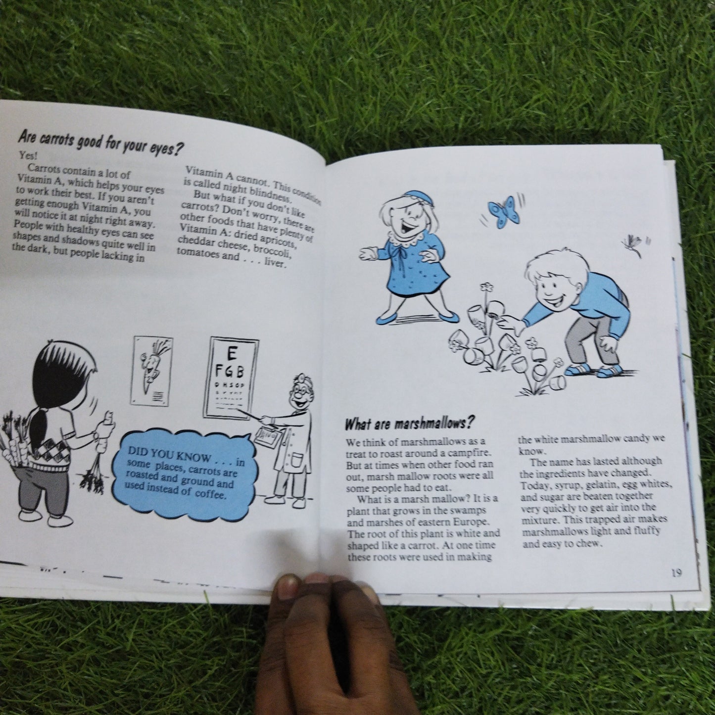 Questions Kids ask about This And  That