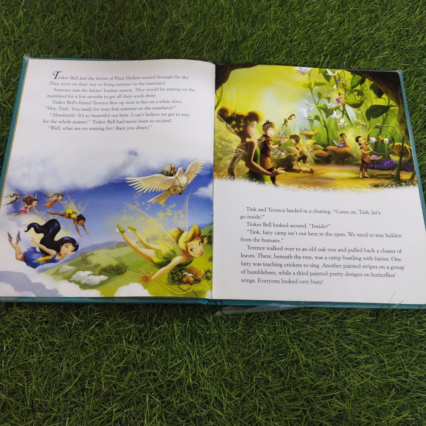 Disney Fairies TinkerBell And The Great Fairy Rescue Paragon