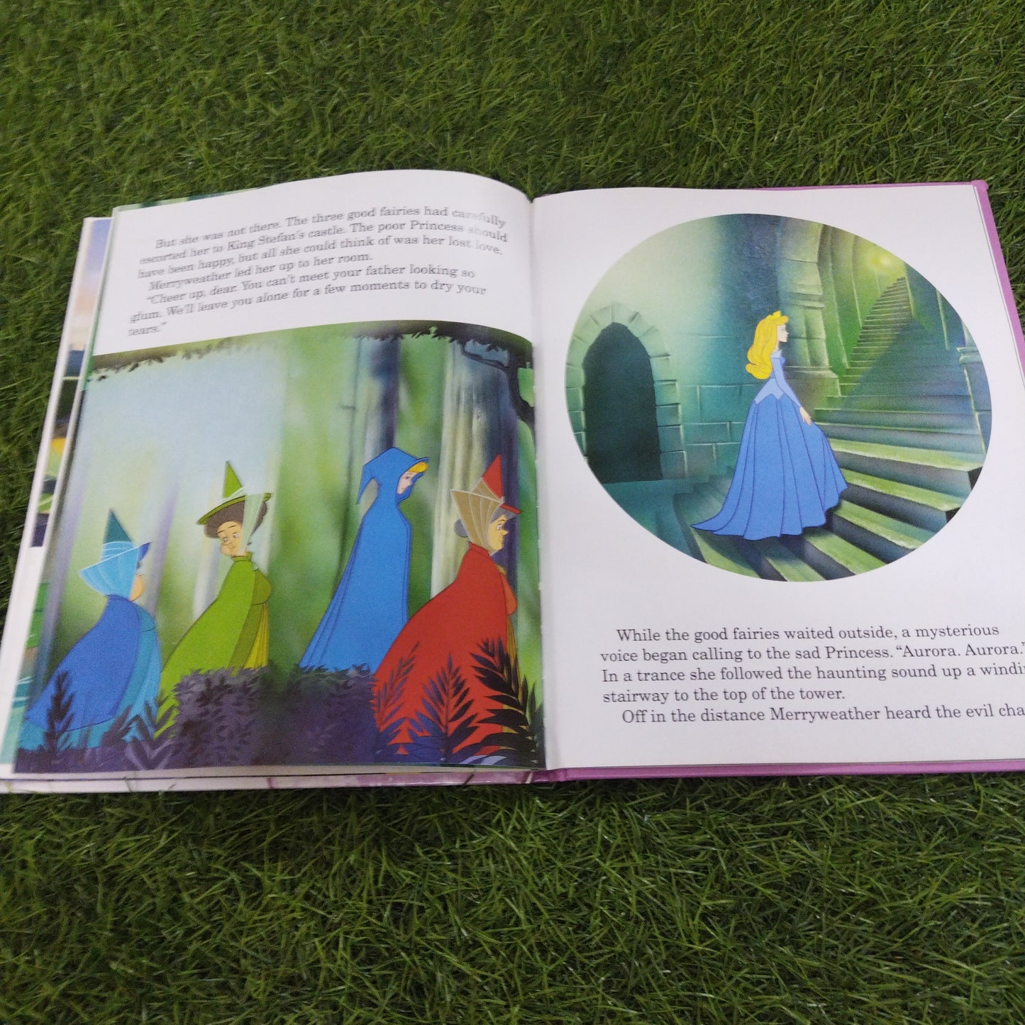 Disney Princess Sleeping Beauty Read-along Story Paragon
