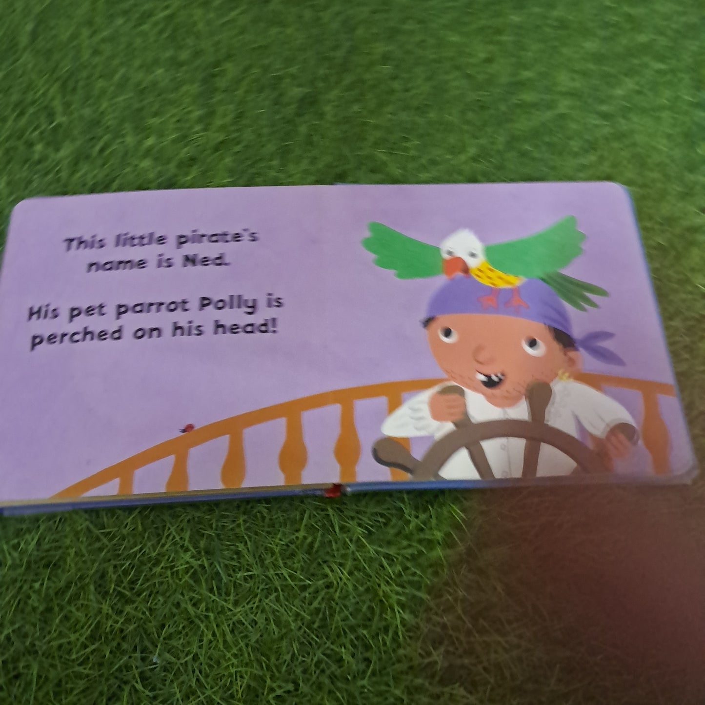 Ladybird Touch -and -feel Tjhis Little Pirate