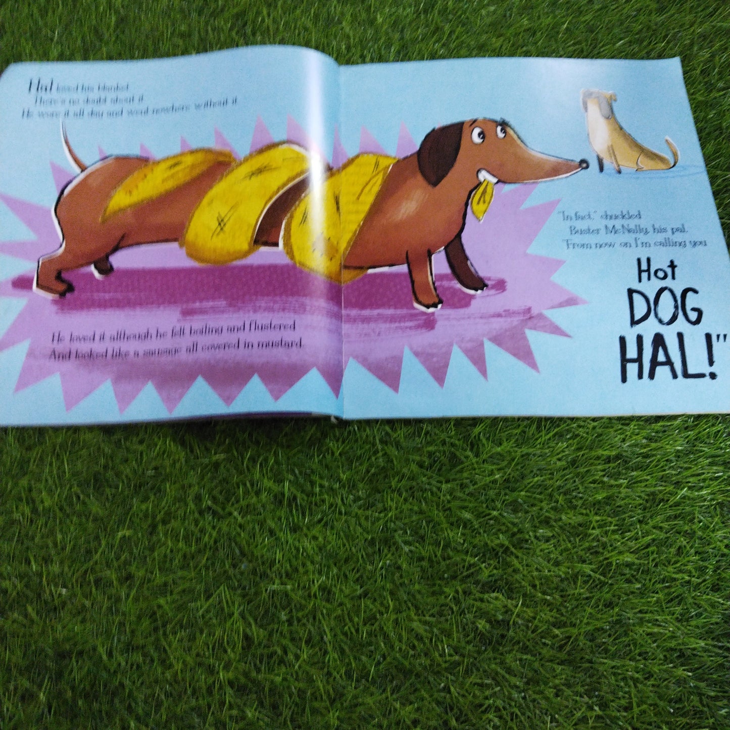 HOT DOG HAL