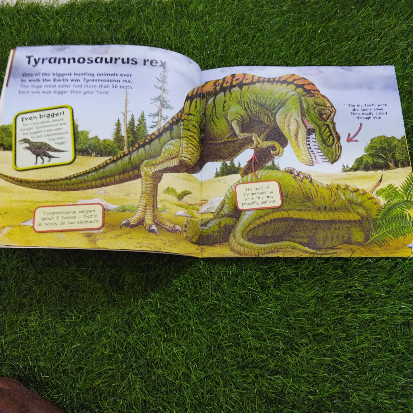 I Love Dinosaurs First Facts and Pictures