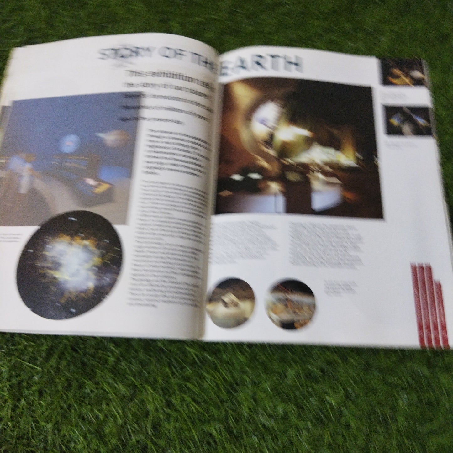 The Natural History Museum