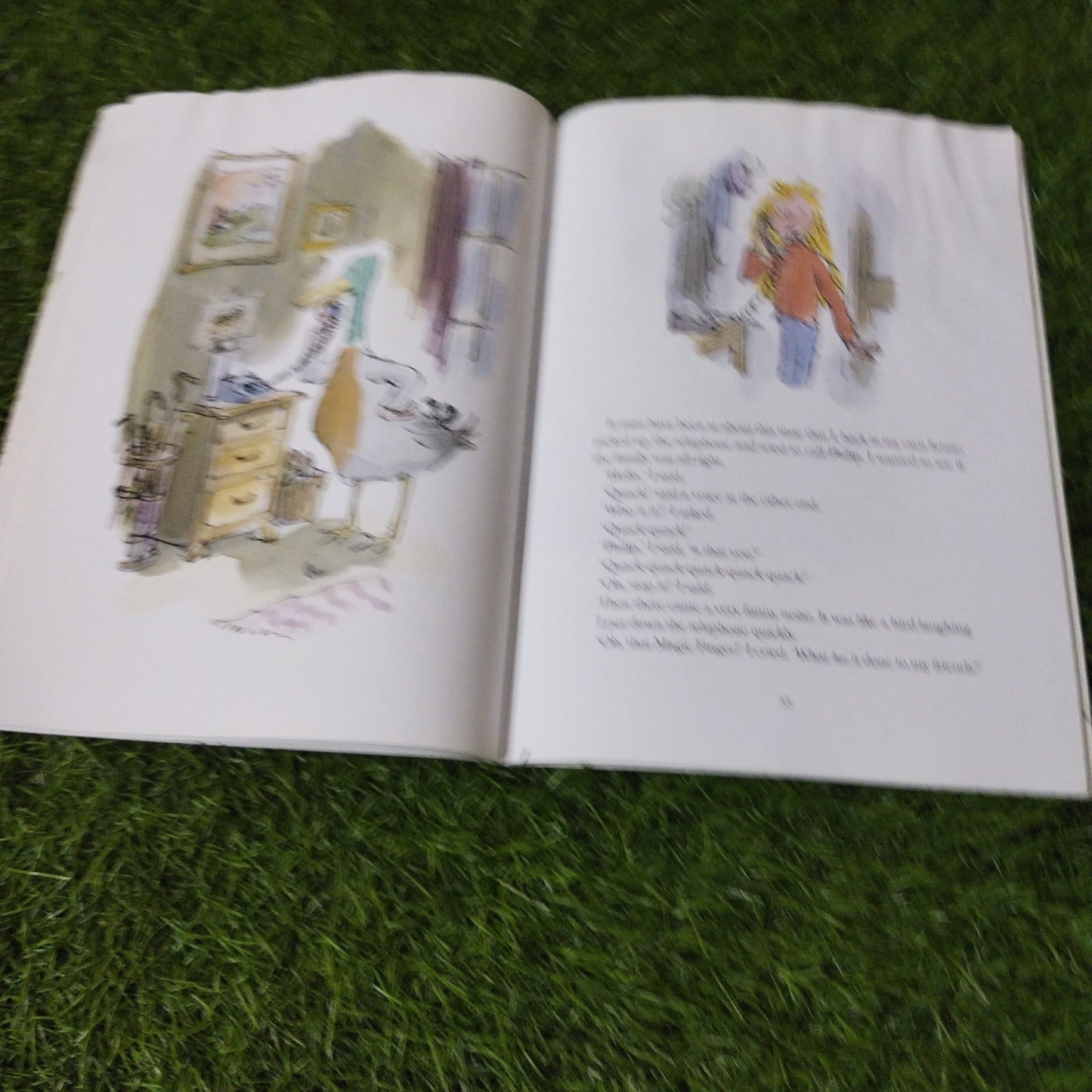 Roald Dahl  The Magic Finger