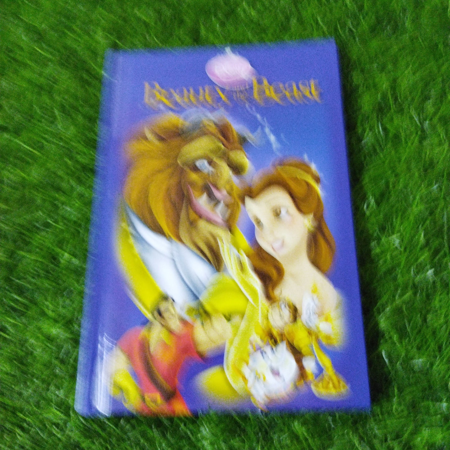 Disney Princess Beauty and the Beast