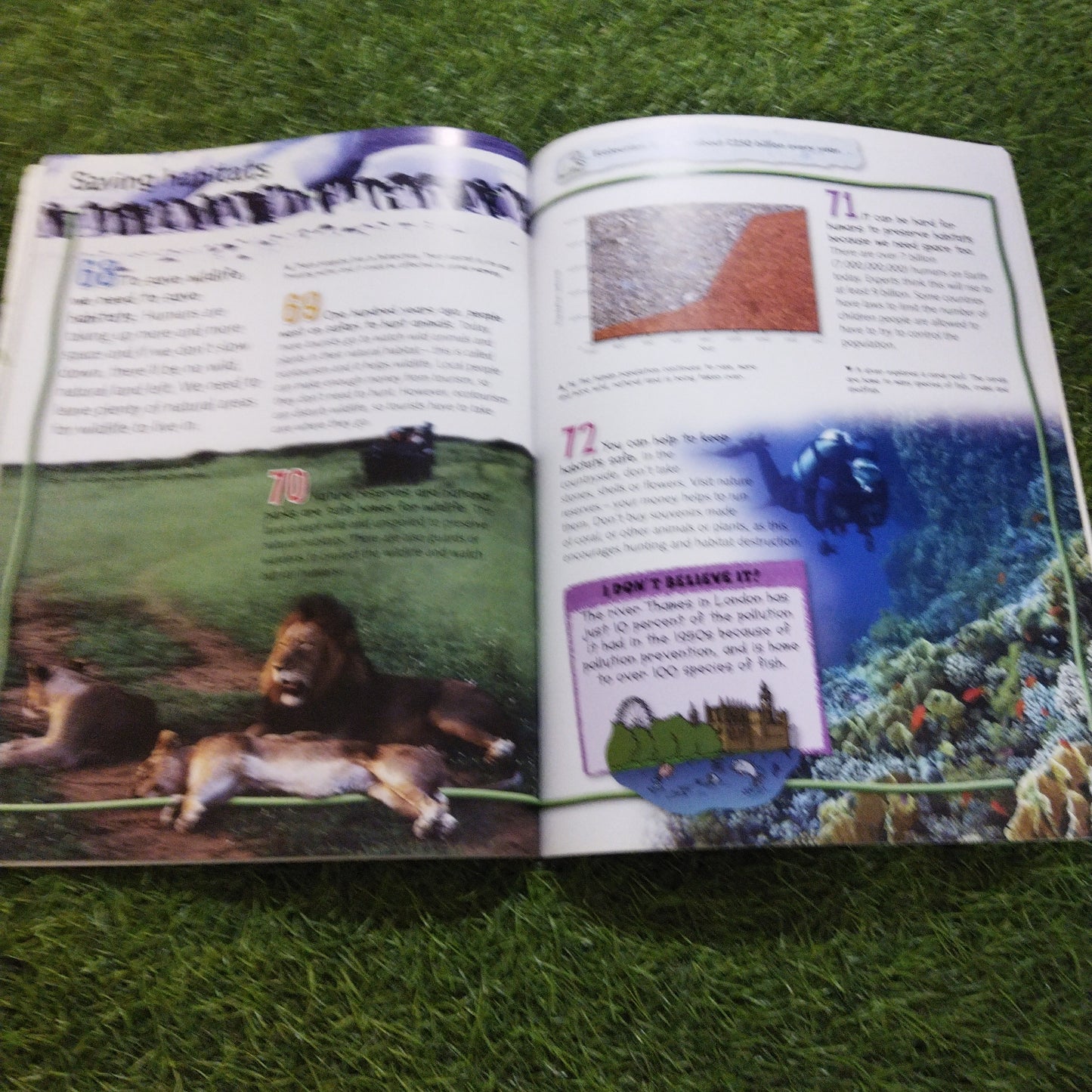 100 fActs Saving the Earth