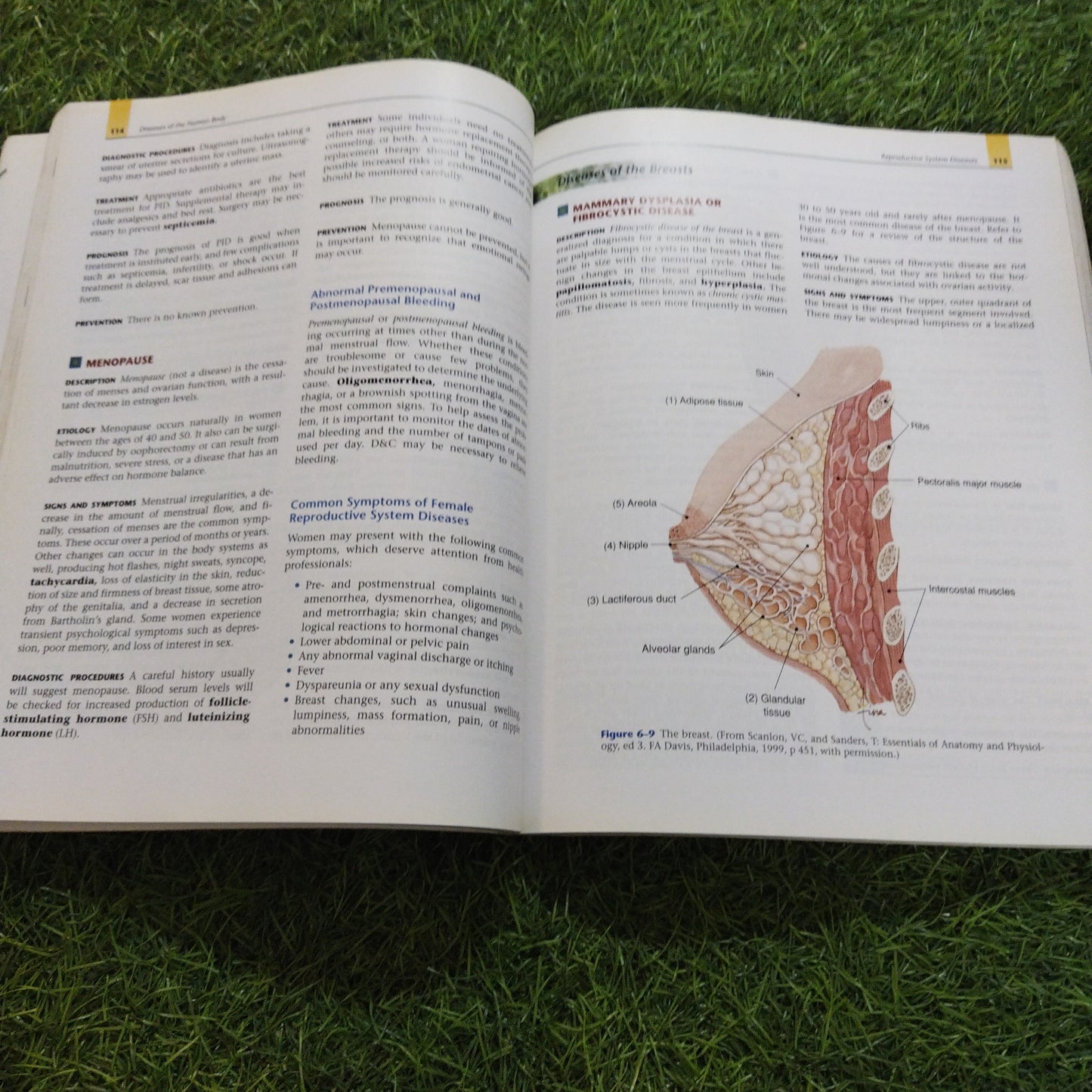 Diseases Of The Human Body