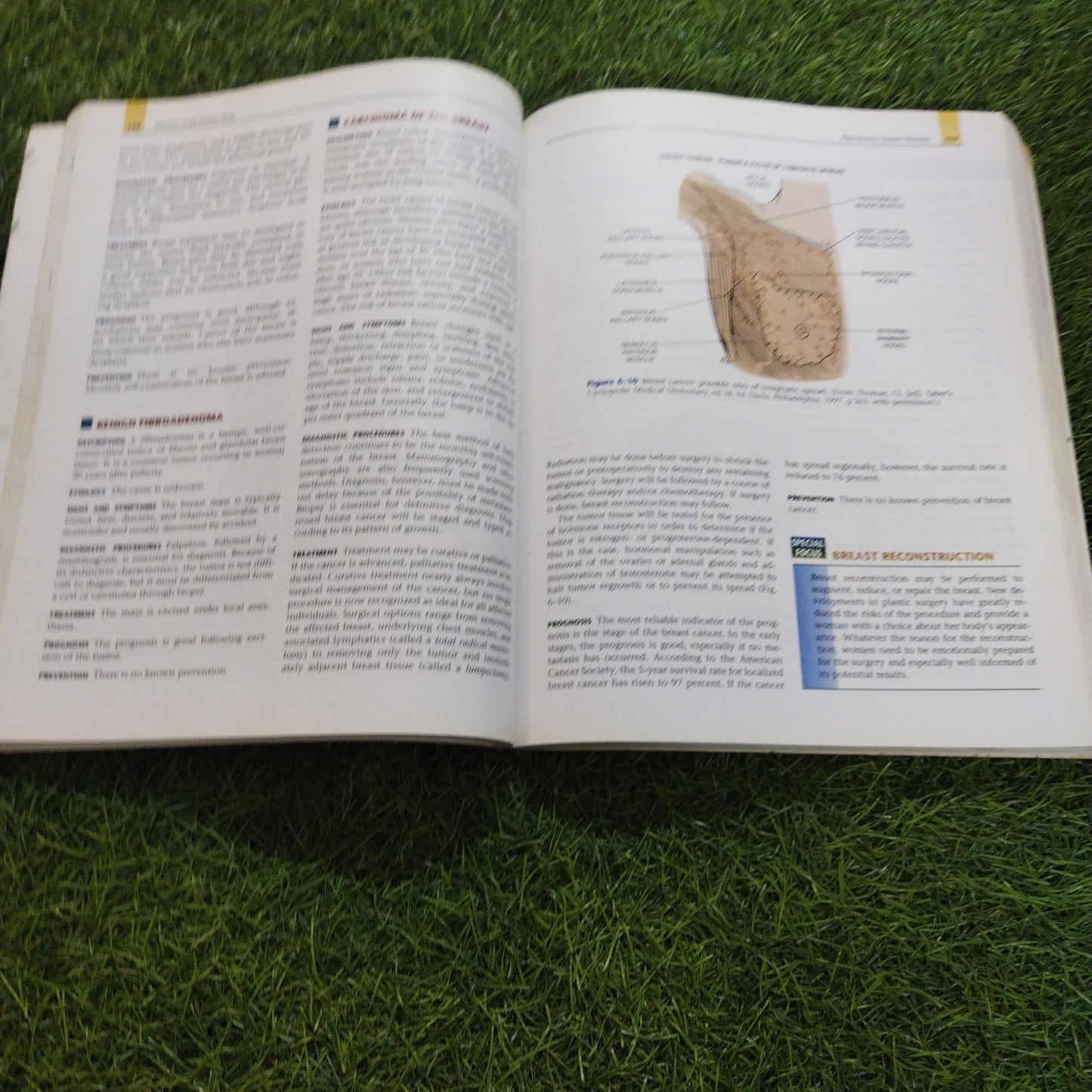 Diseases Of The Human Body