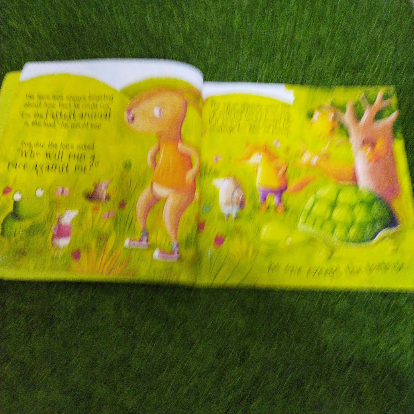 Aesop's Fables The Hare and the Tortouisre