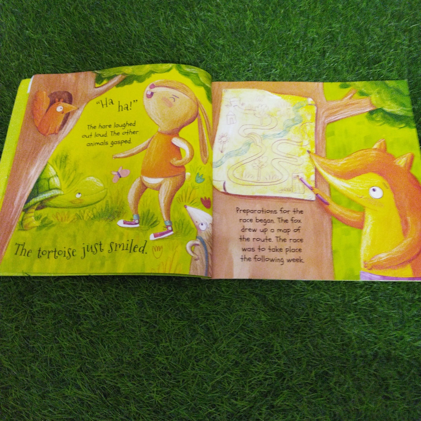 Aesop's Fables The Hare and the Tortouisre