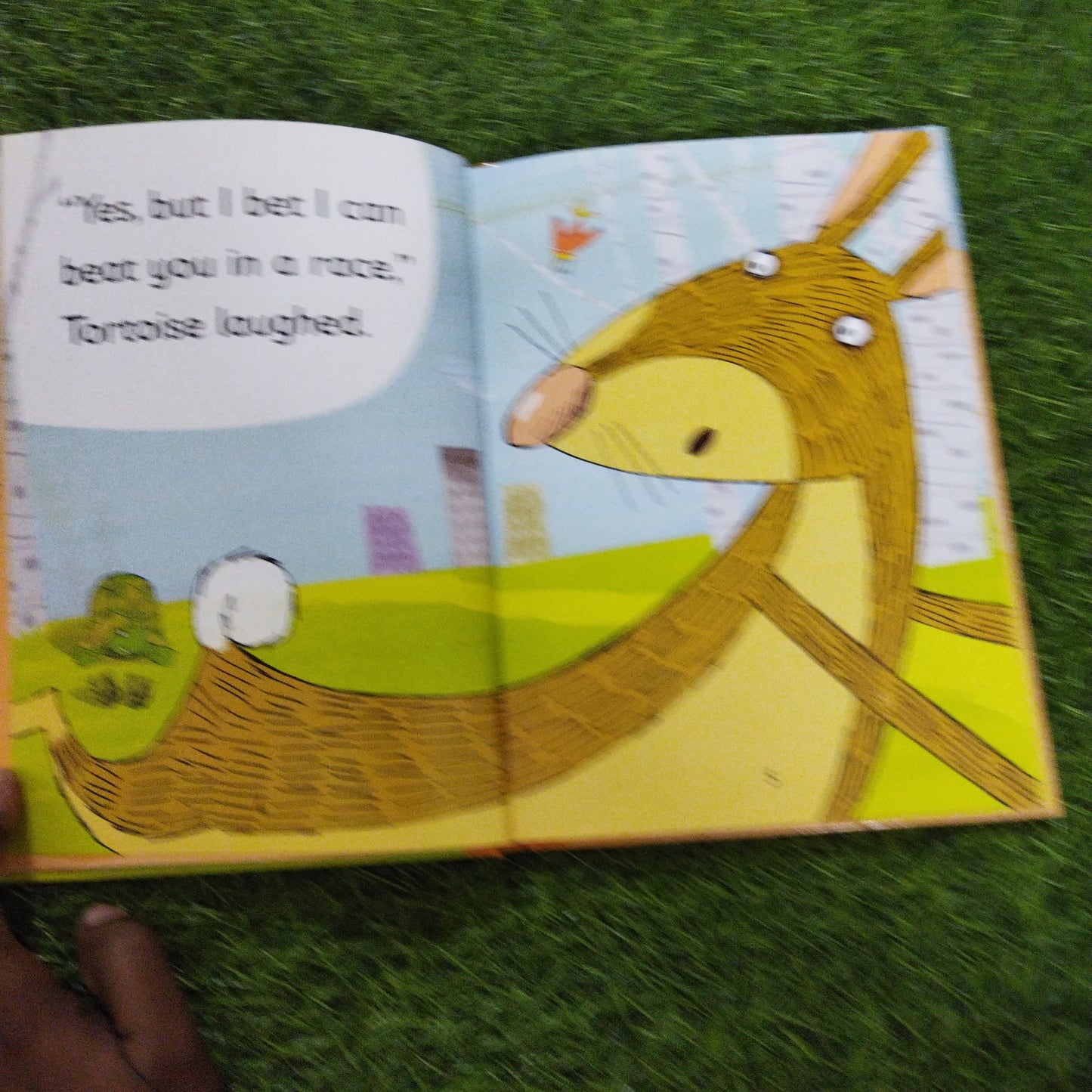 The Hare and the Tortoise