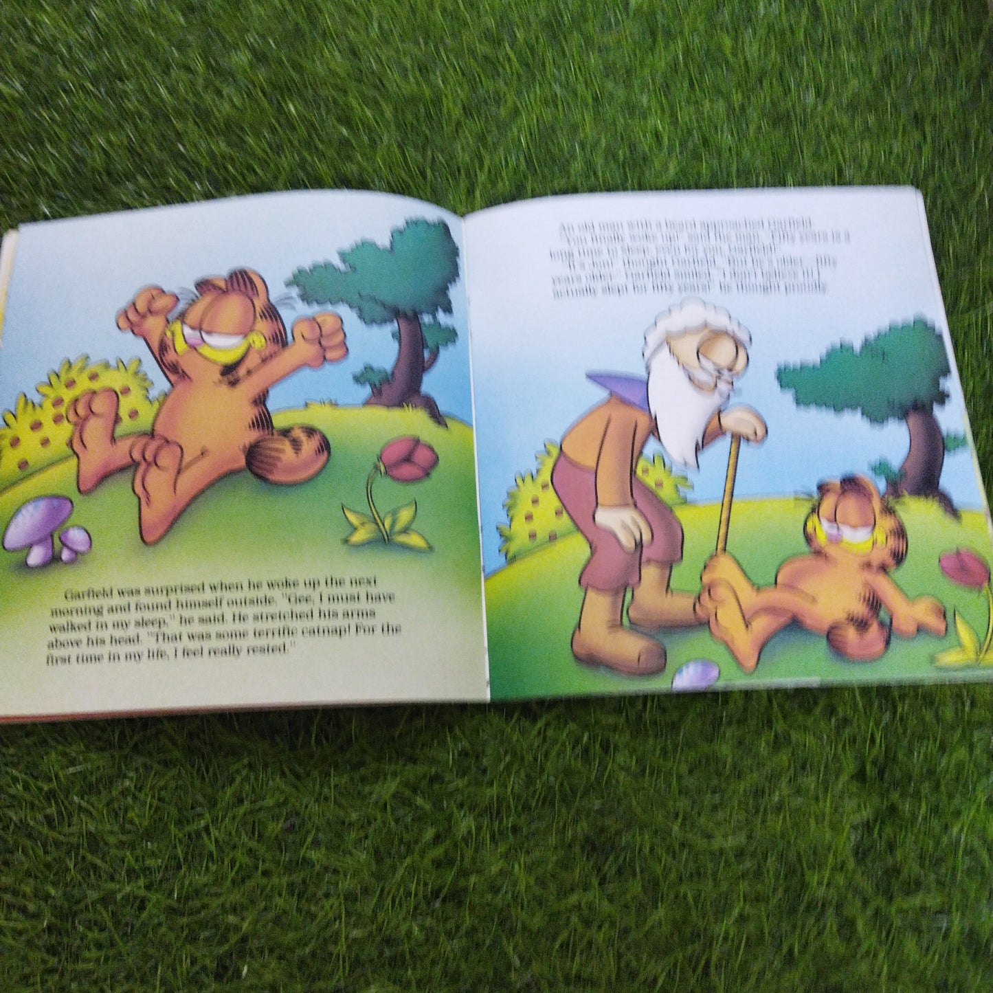 Garfield's Longest Catnap